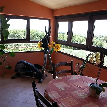 Apartment Rojnic